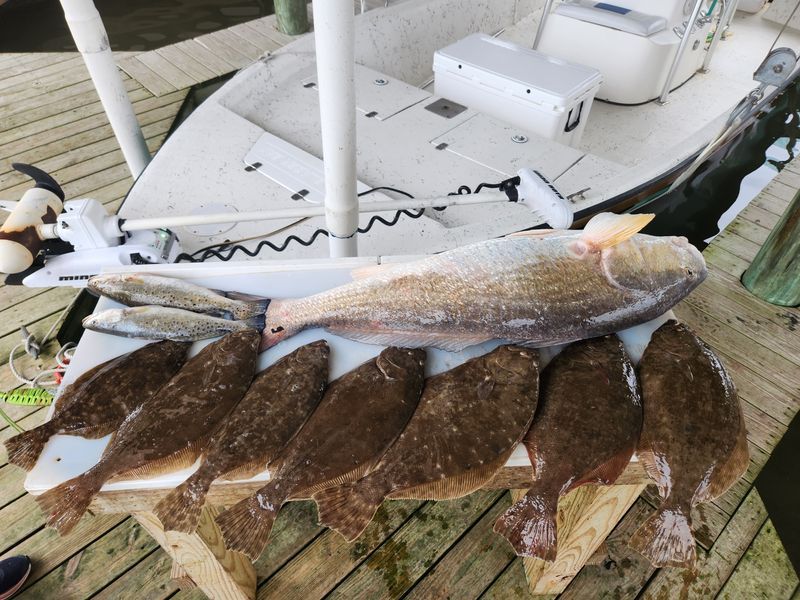 Charter Fishing New Orleans